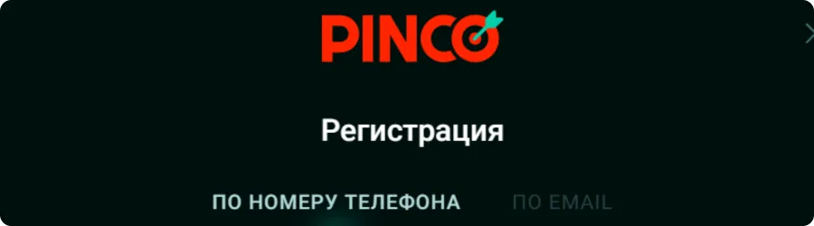 Выбор способа регистрации